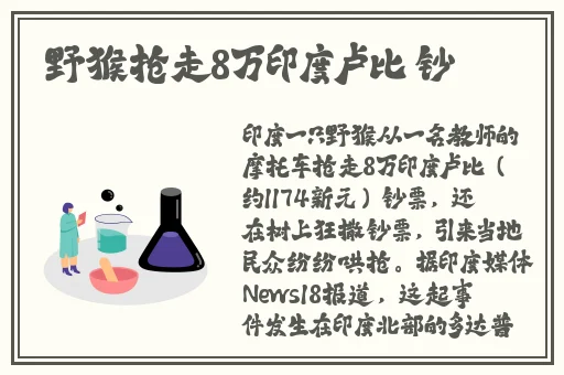 入禽太深免费高清视频6